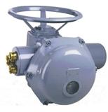 法國Bernard伯納德智能型電動執行器