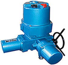 Q型整體型電動裝置常州蘭陵