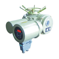 整體式DZW+WK電動執行器