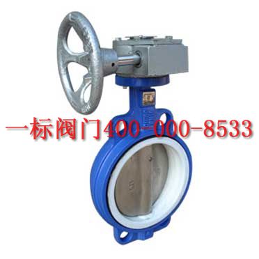 渦輪傳動對夾式蝶閥